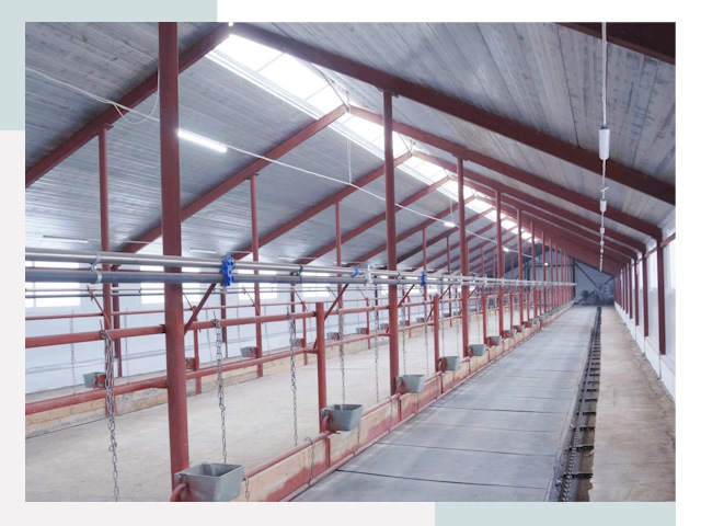 Строительство коровников в Тынде от 617 руб.