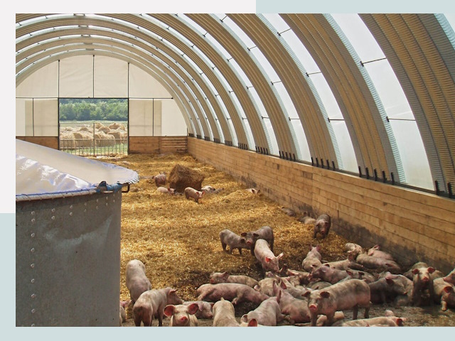 Строительство свинарников в Тынде