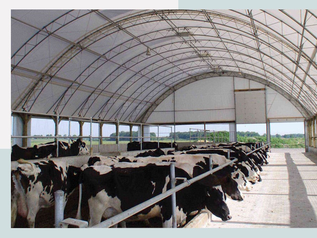 Тентовые коровники в Тынде